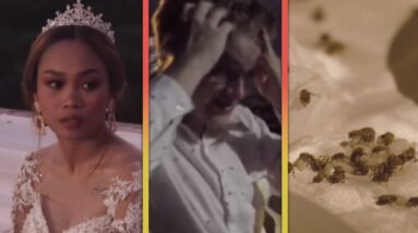 90 Day Fiancé: Brandan and Mary’s Wedding SWARMED by BEETLES!