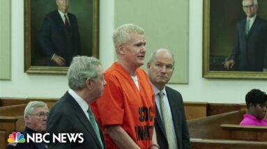 Alex Murdaugh pleads guilty to financial crimes