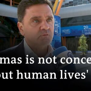 EU Socialists deputy leader – Israeli pauses in Gaza not enough | DW News