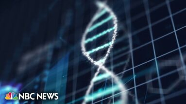Gene-editing tool could help lower high cholesterol in patients