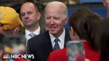New Hampshire Biden supporters’ write-in campaign comes with risks, some Democrats warn