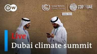 Live: COP28 climate summit opens in Dubai | DW News
