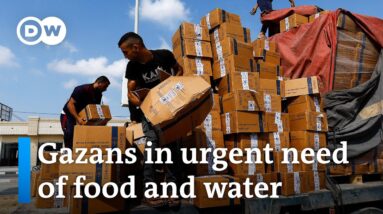Humanitarian crisis in Gaza spirals as Israeli offensive continues | DW News