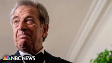 Paul Pelosi testifies in trial against accused attacker