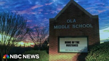Mother of student sues Georgia school administrators after alleged stabbing