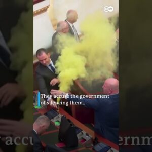 Smoke bombs set off in Albania's Parliament | DW News