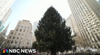 The family behind this year’s Rockefeller Center Christmas Tree
