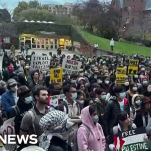 Cornell University student groups share positions on war between Israel and Hamas