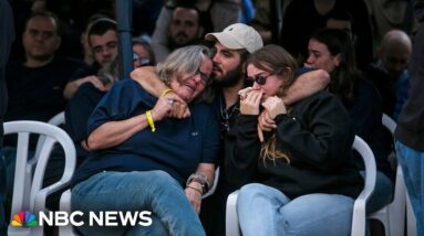 ‘Israel is failing its people' with accidental killing of hostages, says former negotiator
