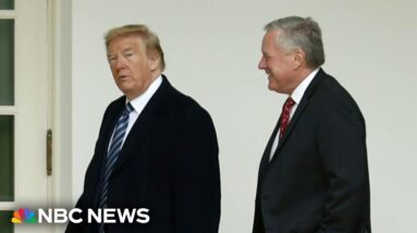 Mark Meadows appeals ruling to move Georgia election case to federal court