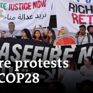 Freedom of speech: How COP28 offers some people a rare luxury in Dubai | DW News
