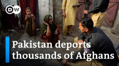 Up to 1.7 million Afghans face expulsion after Pakistan steps up deportation efforts | DW News