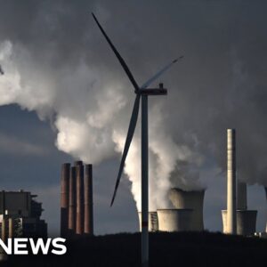 COP28 climate summit begins in Dubai amid climate crisis