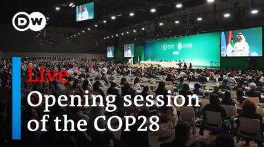 COP28 live: World Climate Action Summit live in Dubai | DW News
