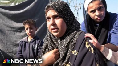 Displaced Gazans fear their next stop may be the Sinai Desert
