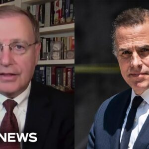 Former U.S. attorney: 'Plenty of very good reasons' to charge Hunter Biden with tax evasion