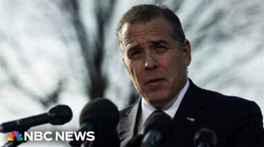 House Committees demand White House provide documents on Hunter Biden