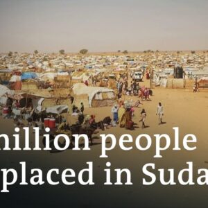 How Sudan has become the world's 'forgotten war' | DW News