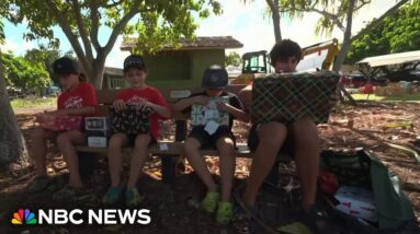 Hundreds of children have wishes granted in massive Maui toy drive