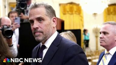 Hunter Biden lawyer argues indictment is politically motivated