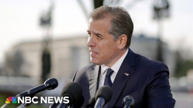 Hunter Biden: 'My father was not financially involved in my business'