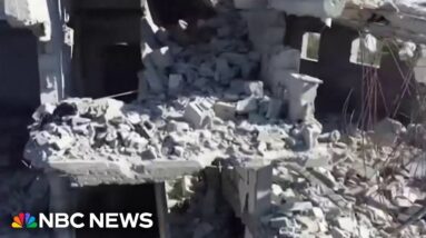 Palestinian American describes pain of losing relatives and hometown in Gaza