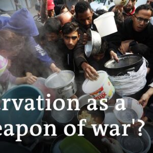 Israel's army chief says Gaza war to last 'many more months' |  DW News