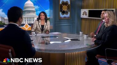 Panel: Newsom ‘animated’ Biden’s 2024 defense with ‘fire,’ ‘fact,’ ‘punch’ and ‘passion’