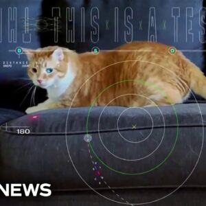 NASA beams cat video from deep space back to Earth using laser