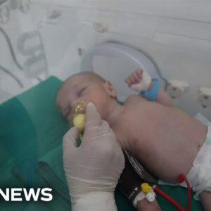 Newborn babies evacuated from Gaza now being treated at Cairo hospital