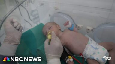Newborn babies evacuated from Gaza now being treated at Cairo hospital