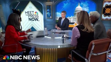 Panel: Voters are telling DeSantis ‘call us again in 2027’