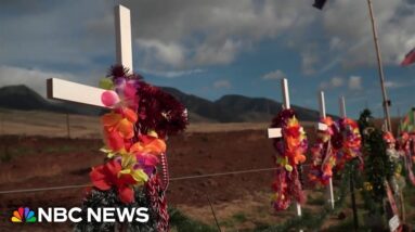 Lahaina residents’ desperate need for housing months after wildfire devastation