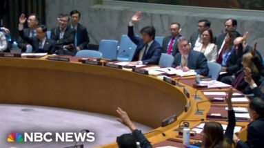 U.N. approves Gaza aid resolution while the U.S. abstains
