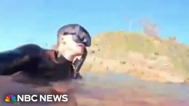 Video shows moments after man gets bitten by shark in Australia