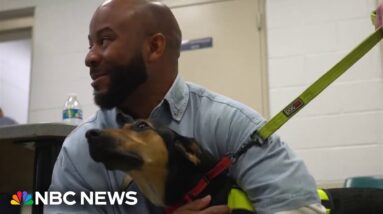 Virginia program pairs inmates and shelter dogs to work together