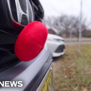 Watch: Police chase deer that broke into New Jersey classroom