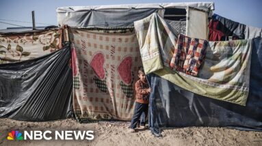 ‘We need to be allowed to do the work’ in Gaza says UNICEF spokesperson