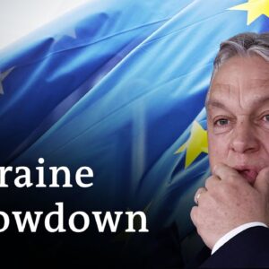 Will Ukraine really join the EU? | DW News