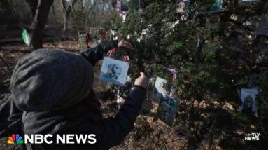 New Yorkers memorialize lost pets with special Central Park Christmas tree
