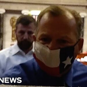 'You ought to be ashamed of yourself!': Texas Rep. Nehls scolds rioters during Jan. 6