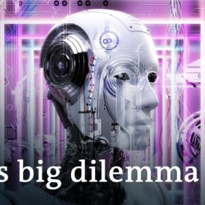 AI: Toy for the rich or tool for equality? | DW Business