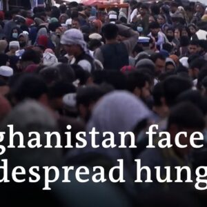 Aid agencies warn of acute hunger in Afghanistan | DW News