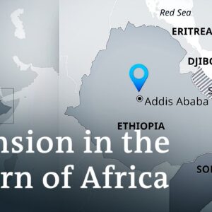 Somalia up in arms over Ethiopia's sea-access deal with Somaliland | DW News