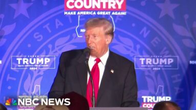 Border crisis is key issue with NH primary just 5 days way