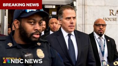BREAKING: Hunter Biden pleads not guilty to criminal tax charges