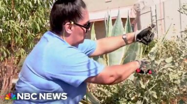 A look into California's efforts to shift prisons from punishment to rehabilitation