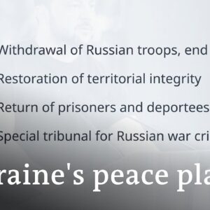 Why is Ukraine discussing its 'Peace Formula' at the World Economic Forum in Davos? | DW News