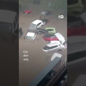 Cyclone Belal batters Mauritius and Reunion | DW Shorts