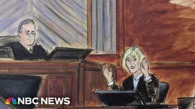 E. Jean Carroll cross-examined about income, public image on stand